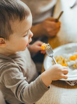 Zwergensache0023 Zwergensache0023